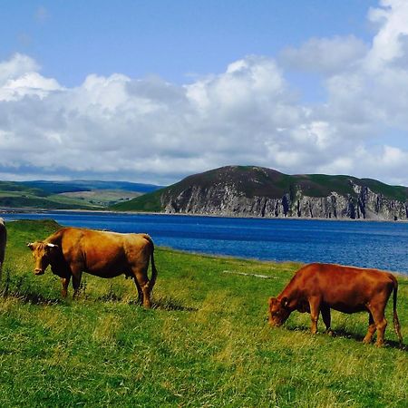 Rural Farmhouse On Kintyre, West Coast Hidden Gem Kildalloig Экстерьер фото