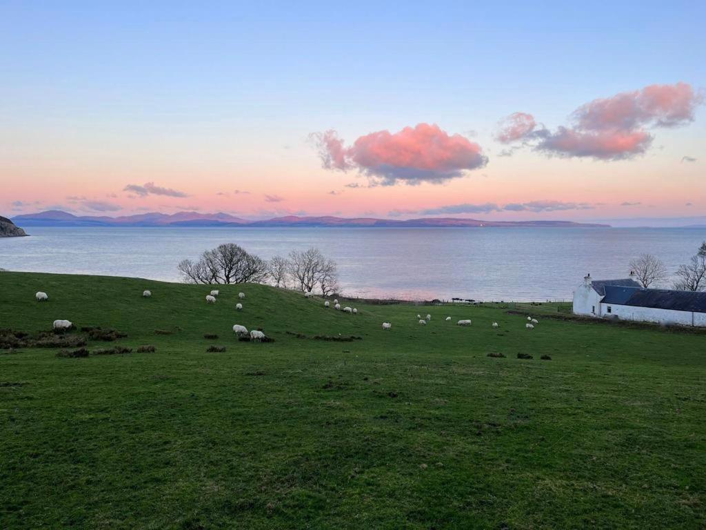Rural Farmhouse On Kintyre, West Coast Hidden Gem Kildalloig Экстерьер фото